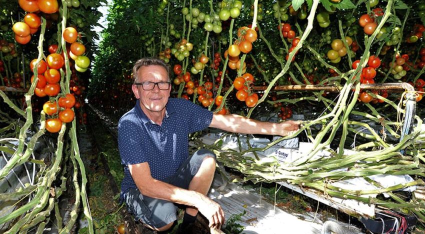 ‘Moment van opstart en er bovenop blijven zitten is ontzettend belangrijk’