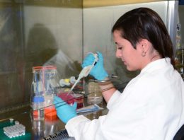 Maakt aanpassing microbioom gewas weerbaarder tegen ziekten en plagen?