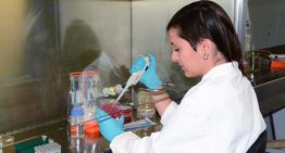 Maakt aanpassing microbioom gewas weerbaarder tegen ziekten en plagen?