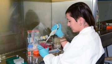 Maakt aanpassing microbioom gewas weerbaarder tegen ziekten en plagen?