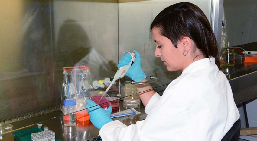 Maakt aanpassing microbioom gewas weerbaarder tegen ziekten en plagen?