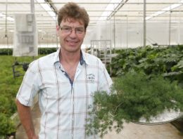 ‘De speelse planten groeien vanzelf weer aan’