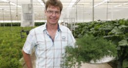 ‘De speelse planten groeien vanzelf weer aan’