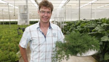 ‘De speelse planten groeien vanzelf weer aan’