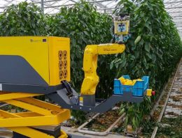 Teler wil 100% efficiënte oogstrobot, maar dat is nu nog niet haalbaar