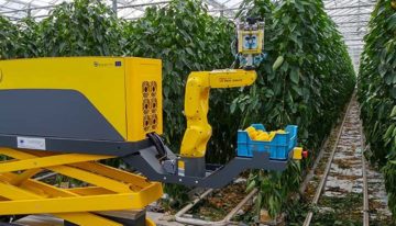 Plukrobot in de kas voorlopig nog toekomstmuziek