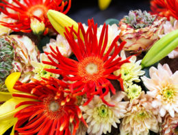 World of Flowers 2018 klaar voor de start