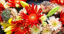 World of Flowers 2018 klaar voor de start