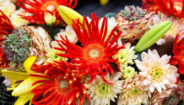 World of Flowers 2018 klaar voor de start