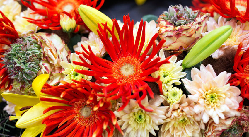 World of Flowers 2018 klaar voor de start