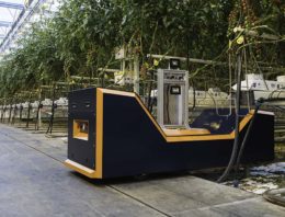 Steeds meer samenwerking tussen robot en mens in glastuinbouw