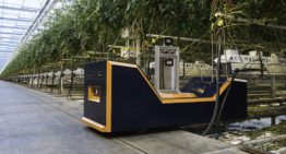 Steeds meer samenwerking tussen robot en mens in glastuinbouw