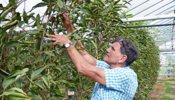 ‘Met elkaar kwaliteit hooghouden, anders gooien we onze eigen glazen in’