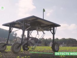 Robot houdt vollegrondteelt kas in de toekomst onkruidvrij