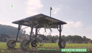 Robot houdt vollegrondteelt kas in de toekomst onkruidvrij