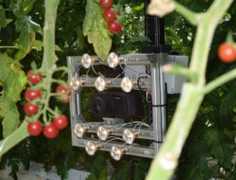 Meten bladkwaliteit met hyperspectraal sensor