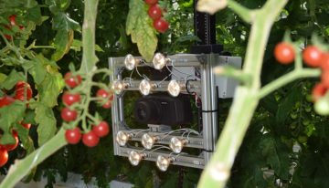 Meten bladkwaliteit met hyperspectraal sensor