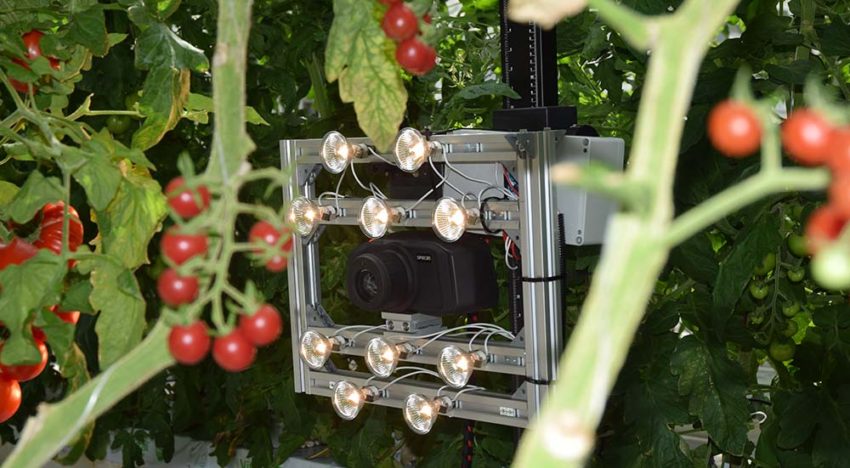 Meten bladkwaliteit met hyperspectraal sensor