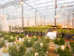 Wageningen University & Research vervangt onderzoekskassen Unifarm