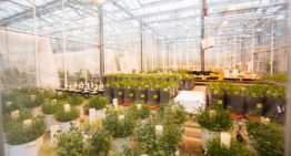 Wageningen University & Research vervangt onderzoekskassen Unifarm