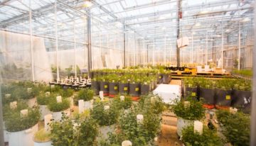 Wageningen University & Research vervangt onderzoekskassen Unifarm