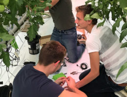 Ideal Research Greenhouse Lab van start in World Horti Center