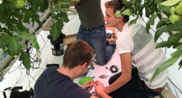 Ideal Research Greenhouse Lab van start in World Horti Center