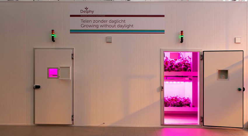 Extra onderzoeksfaciliteiten voor Delphy