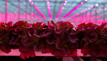 Investeringsfonds Victus Participations koopt installateur PB Techniek