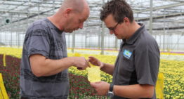 Systeemaanpak biologie en BotaniGard werkt ook goed in lastig jaar