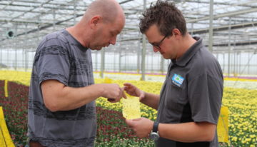 Systeemaanpak biologie en BotaniGard werkt ook goed in lastig jaar