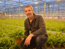Potplantenbedrijf Debo Plant krijgt in vijf jaar tijd drie rampen te verduren