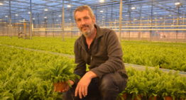 Potplantenbedrijf Debo Plant krijgt in vijf jaar tijd drie rampen te verduren