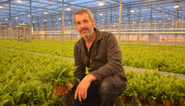 Potplantenbedrijf Debo Plant krijgt in vijf jaar tijd drie rampen te verduren