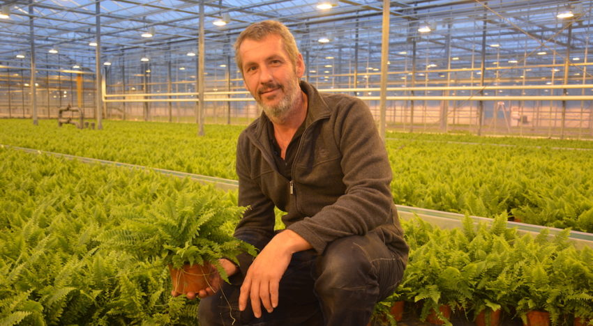 Potplantenbedrijf Debo Plant krijgt in vijf jaar tijd drie rampen te verduren