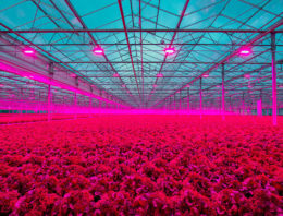 PB Techniek neemt Canadees installatiebedrijf voor de tuinbouw over