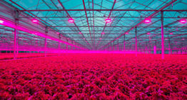 PB Techniek neemt Canadees installatiebedrijf voor de tuinbouw over