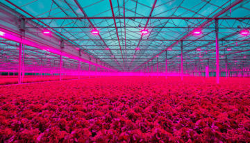 PB Techniek neemt Canadees installatiebedrijf voor de tuinbouw over