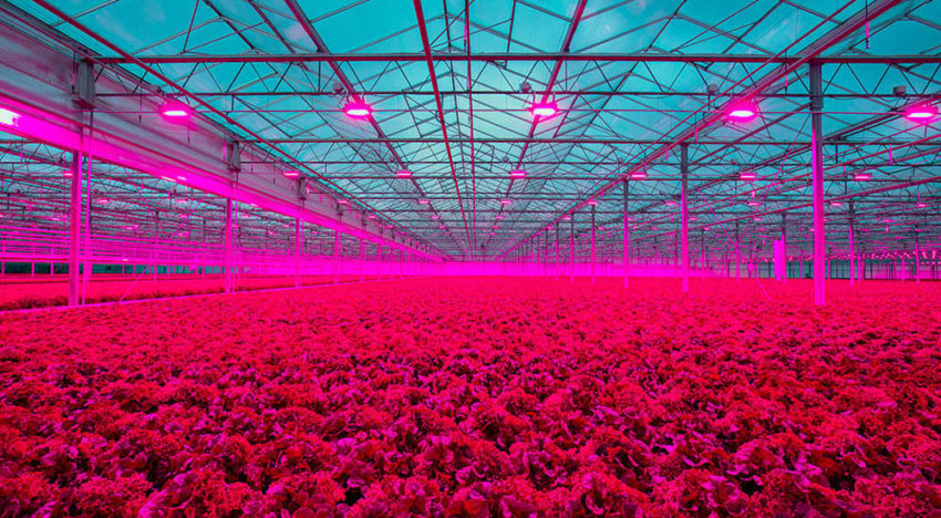 PB Techniek neemt Canadees installatiebedrijf voor de tuinbouw over PB Techniek neemt Canadees installatiebedrijf voor de tuinbouw over
