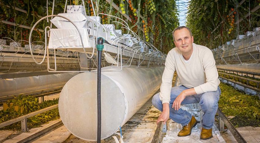 ‘Duurzaam telen vergt meer grip op klimaat, want plant heeft altijd gelijk’