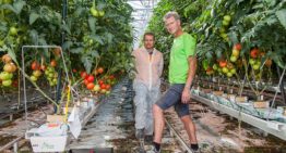 Systematisch monitoren en registreren plaaginsecten loont