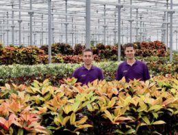 Fachjan compenseert 1,9 miljoen kilo CO<sub>2</sub> door aanplanten van bamboe