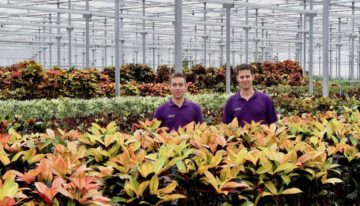 Fachjan compenseert 1,9 miljoen kilo CO<sub>2</sub> door aanplanten van bamboe