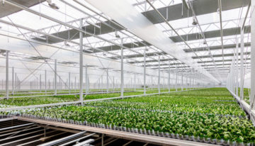 Ter Laak Orchids genomineerd voor EZK Energy Award 2018