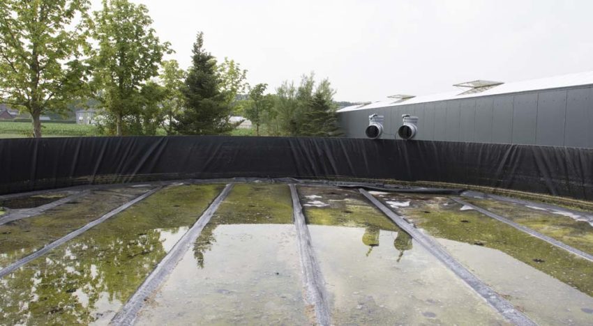 Water onderuit bassin halen is niet ongevaarlijk