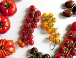 Tomaten en wortels moeten prostaatkanker tegen gaan