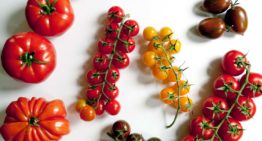 Tomaten en wortels moeten prostaatkanker tegen gaan