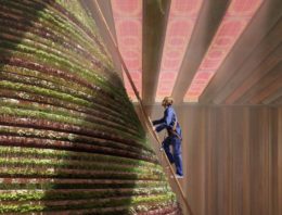 ‘Dutch Dubai’ wordt prachtig podium voor tuinbouwtechnologie