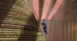 ‘Dutch Dubai’ wordt prachtig podium voor tuinbouwtechnologie
