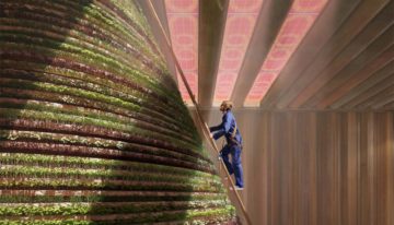 ‘Dutch Dubai’ wordt prachtig podium voor tuinbouwtechnologie